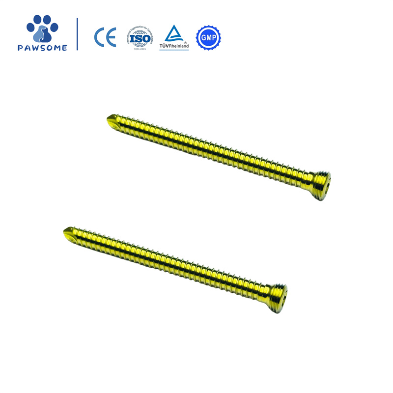 Orthopedic Implants Veterinary Locking Screws01.jpg