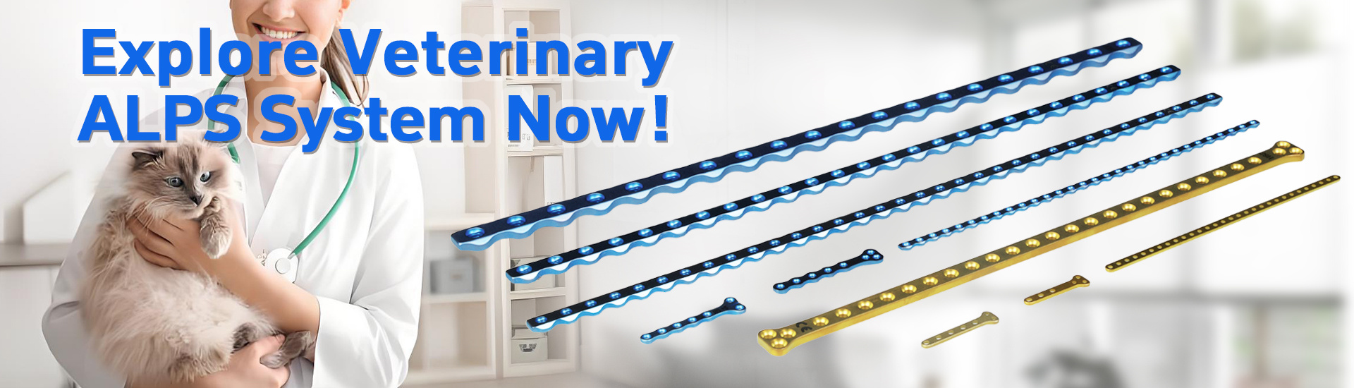 Orthopedic Implants Veterinary Locking Screws